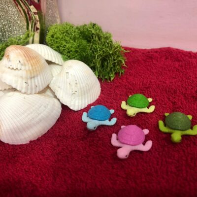 Miniature Turtle Coloured Fairy Garden for Beach Scene (Resin Decor)