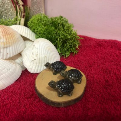 Miniature Turtle Small Fairy for Beach Scene (Resin Decor)