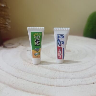 Miniature Toothpaste for Fairy Garden (Resin Decor)