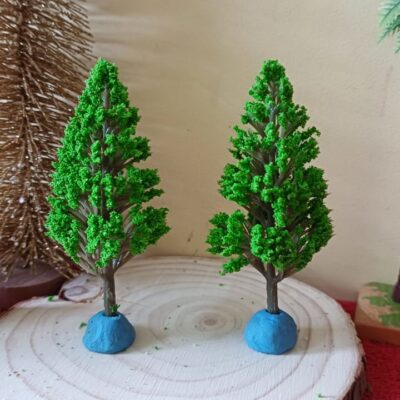 Small cypress tree miniature for terrariums