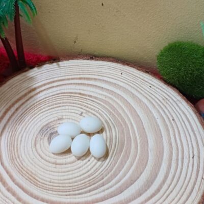 Miniature Bird Egg for Fairy Garden (Resin Decor)