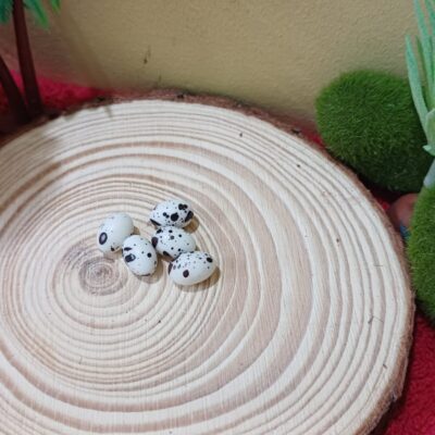Miniature Egg Black and White for Fairy Garden (Resin Decor)