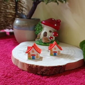 Colorful house small house