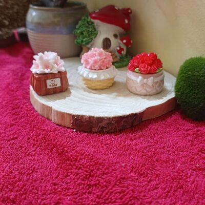 Miniature Flowerpot New for Desk & Fairy Garden (Resin Decor)