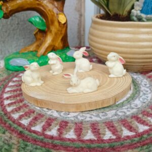 Rabbit white
