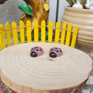Glow in the dark ladybird