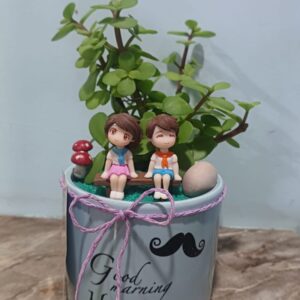 Mini Romance & Couple’s Park Set