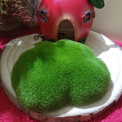 Artificial Moss Ball (Size 10cm)