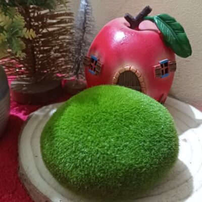 Artificial Moss Ball (Large)